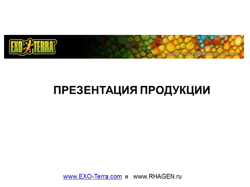 ПРЕЗЕНТАЦИЯ ПРОДУКЦИИ www.EXO-Terra.com и www.RHAGEN.ru ПРЕЗЕНТАЦИЯ ПРОДУКЦИИ www.EXO-Terra.com и www.RHAGEN.ru